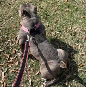 Meet your Posher, Victor